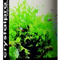 Flora Carbon 125ml