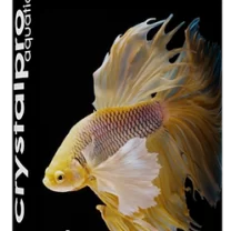 Betta Aqua Conditioner 125ml